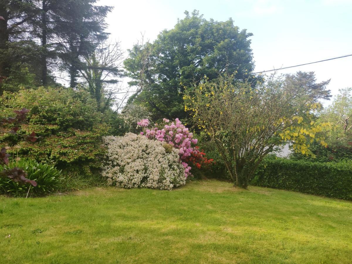 Leenan View Country House Affittacamere Portsalon Esterno foto